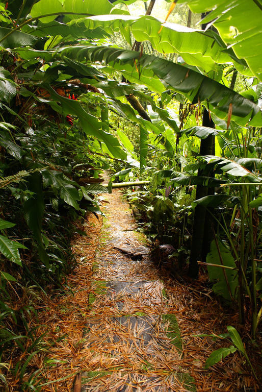 Hotel Campestre La Floresta Puerto Espejo Zewnętrze zdjęcie